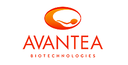 Avantea